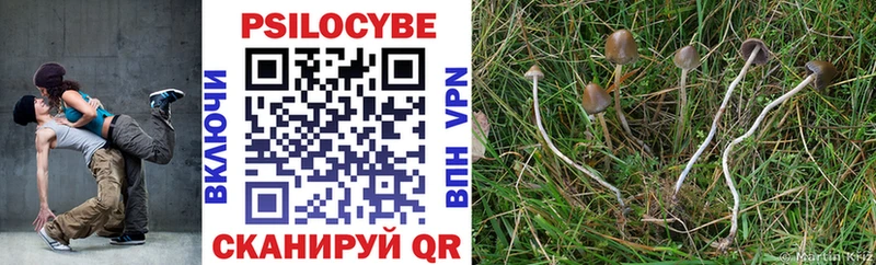 blacksprut ONION  Кириши  Псилоцибиновые грибы прущие грибы 